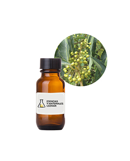 AC. ES. LITSEA CUBEBA