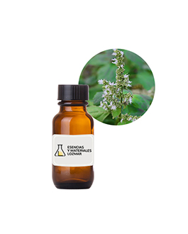 AC. ES. PATCHOULY LIGHT