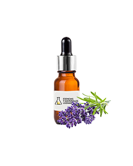 SWEET LAVENDER