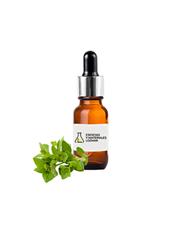 OREGANO
