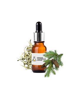 Sweet Cedarwood
