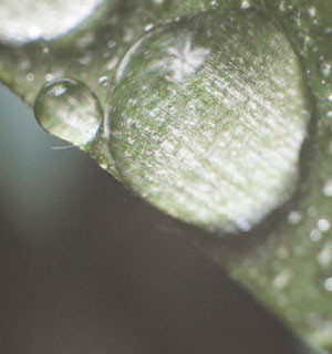 actividades-comerciales-1