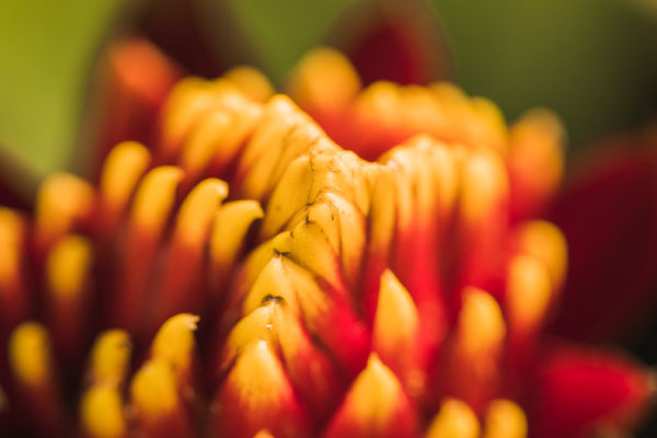 actividades-comerciales-3