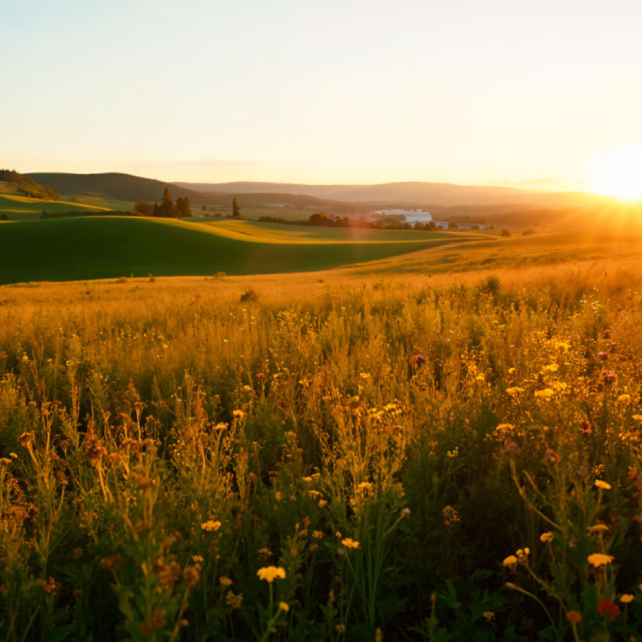 actividades-comerciales-4