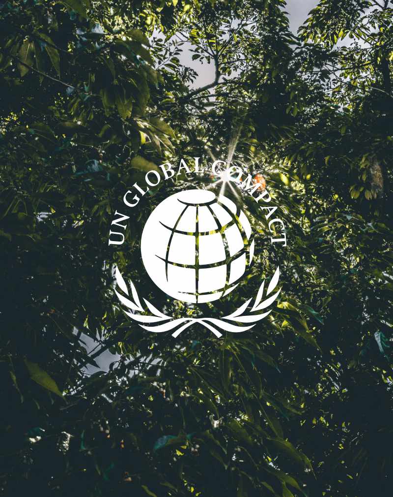 certificacion-UN_Global_Compact