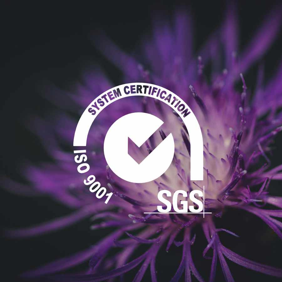 certificacion-iso-9001