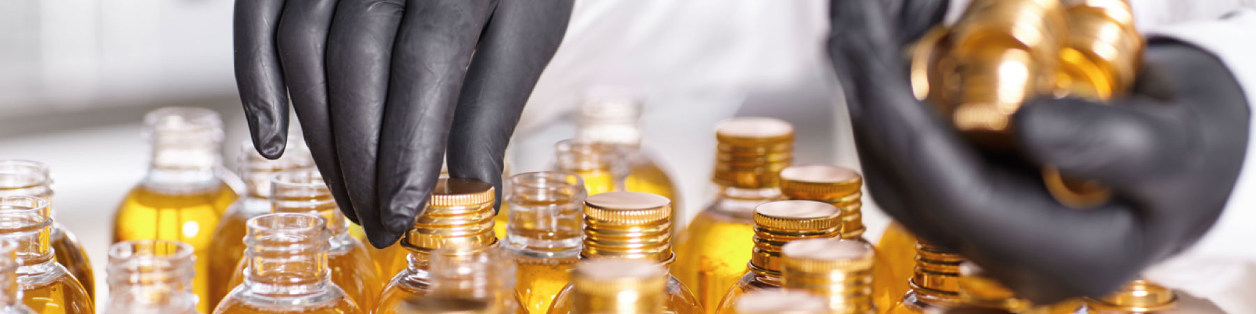 lo-que-somos-y-hacia-donde-vamos