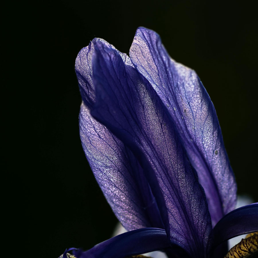 colaboraciones-y-alianzas-estrategicas