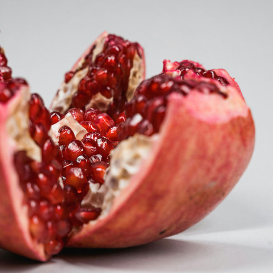 investigacion-y-desarrollo-de-vanguardia