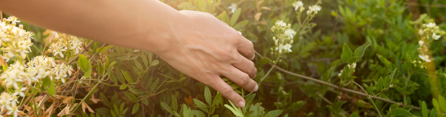 sostenibilidad-y-responsabilidad-social