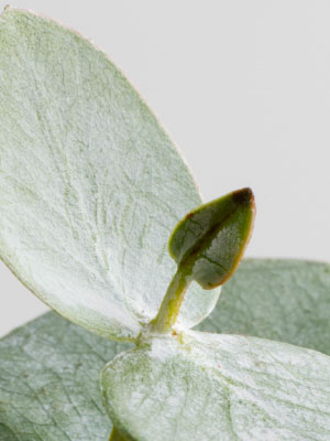 tendencia-de-mercado-2