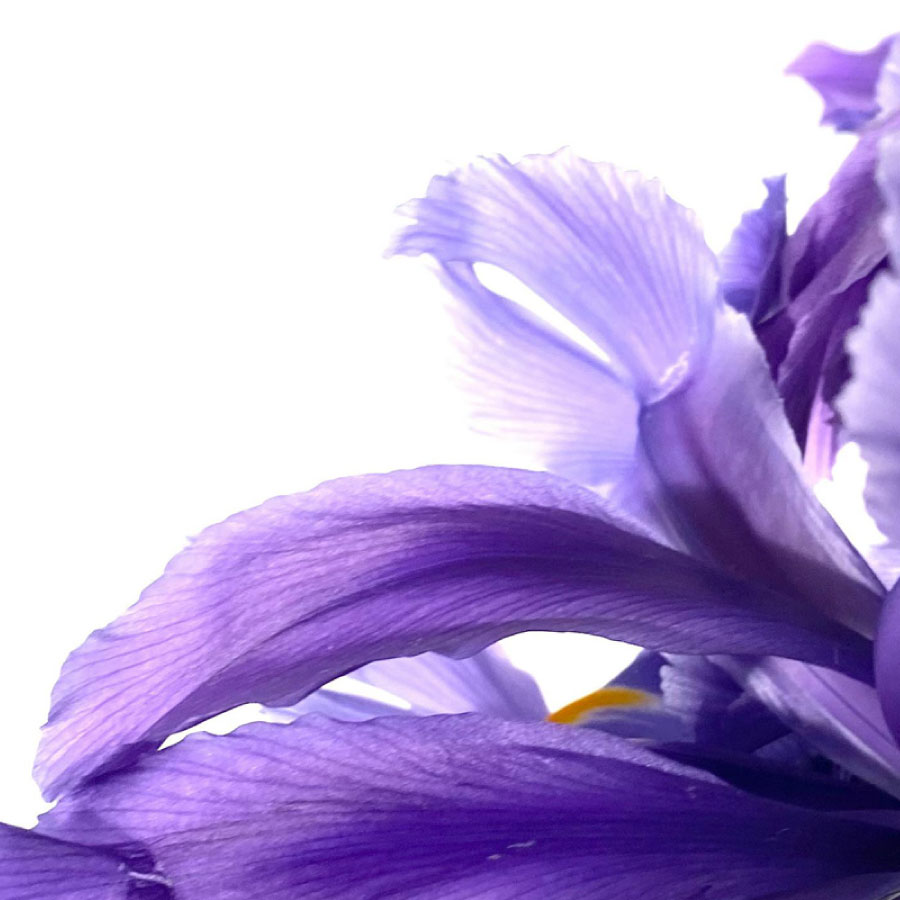 transparencia-y-autenticidad