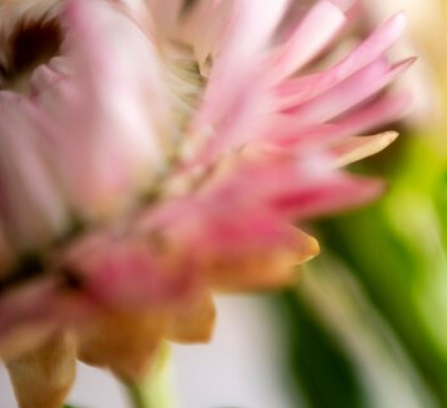 nuestros-propositos-2