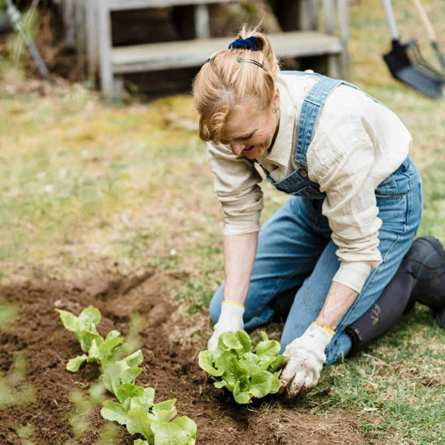 politica-de-bienestar-social-y-compromiso-comunitario