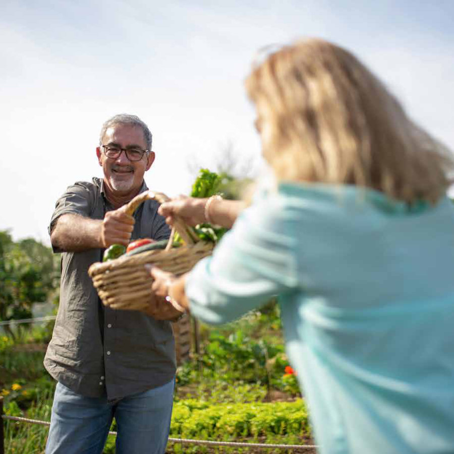 politica-de-derechos-humanos-y-trabajo-justo