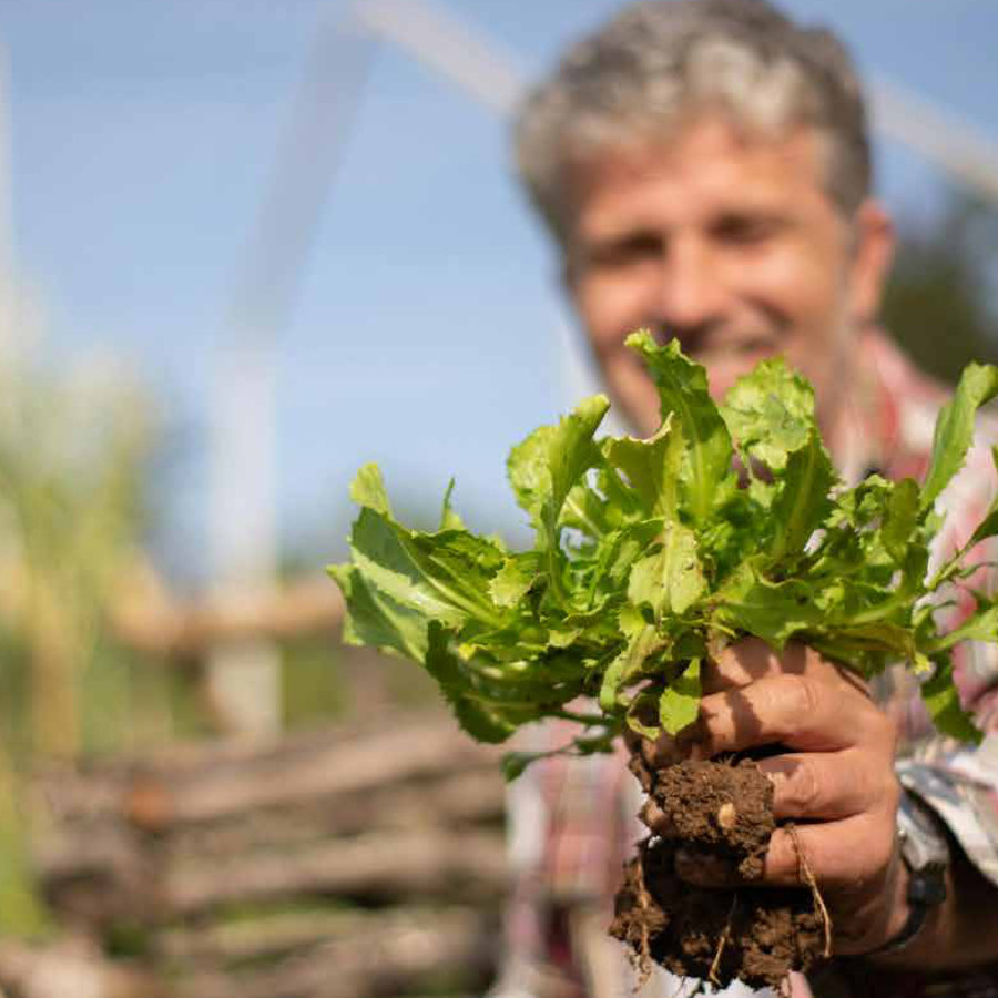politica-de-evaluacion-y-reporte-de-impacto-social-y-ambiental