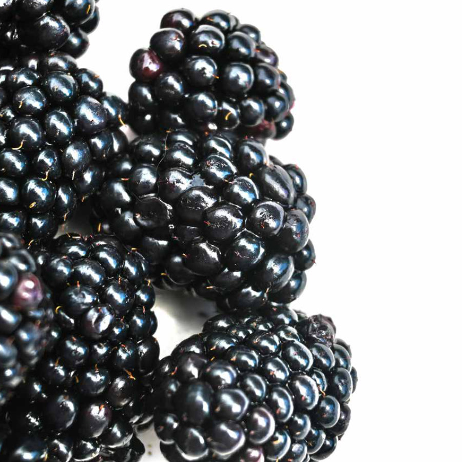 politica-de-responsabilidad-social-empresarial