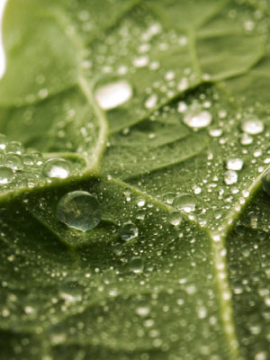 expansion-internacional-2