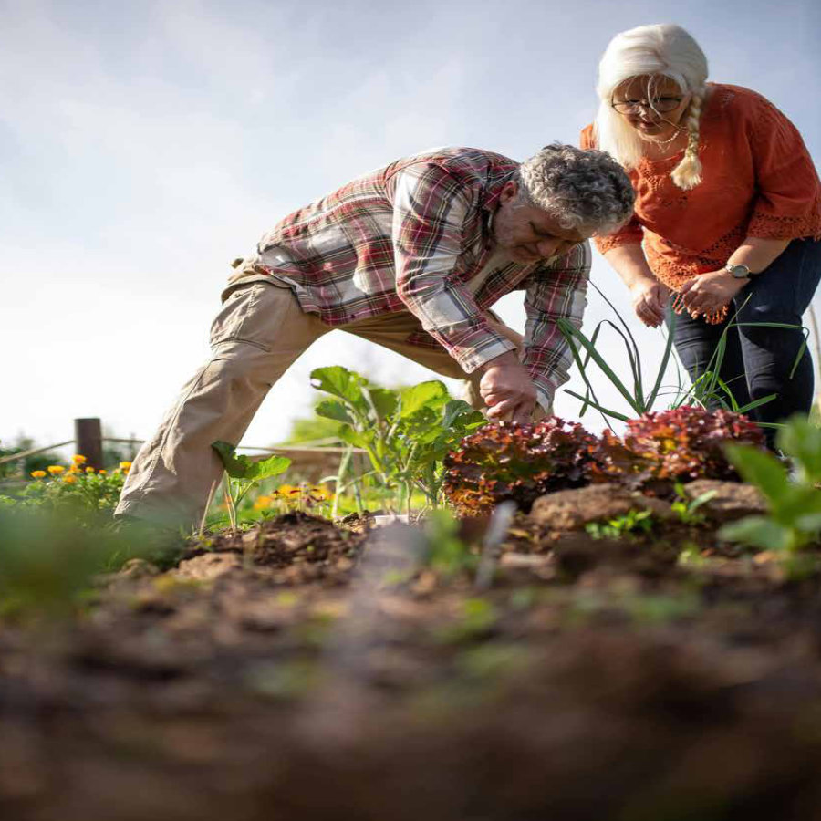 apoyo-a-la-diversidad-y-la-inclusion