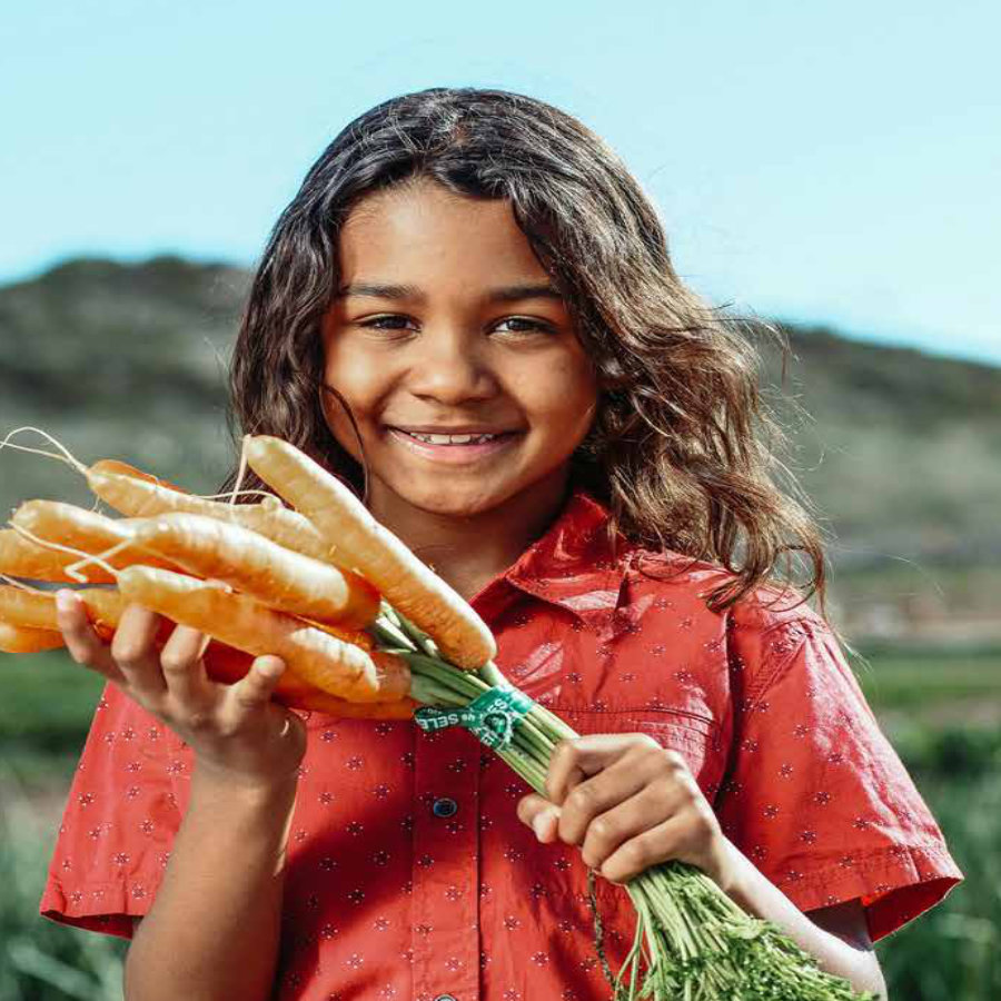 responsabilidad-social-y-compromiso-comunitario