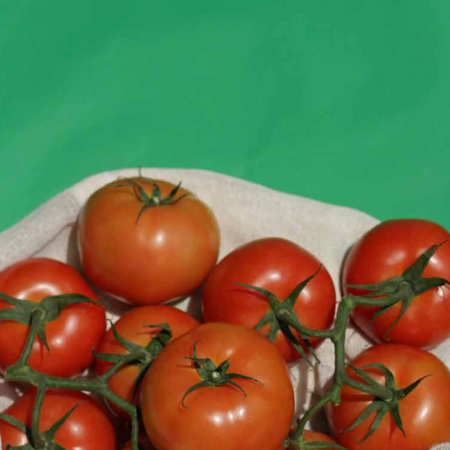 transparencia-y-trazabilidad-en-la-cadena-de-suministro