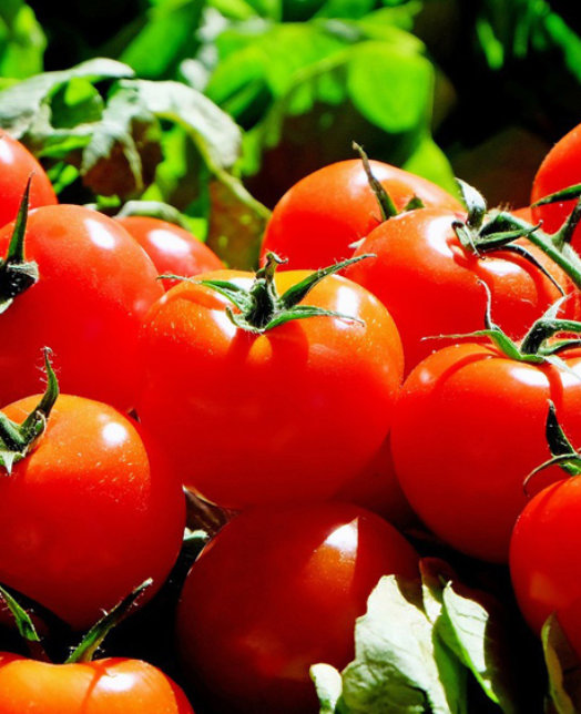 certificaciones-y-compromisos-internacionales-de-sostenibilidad-2