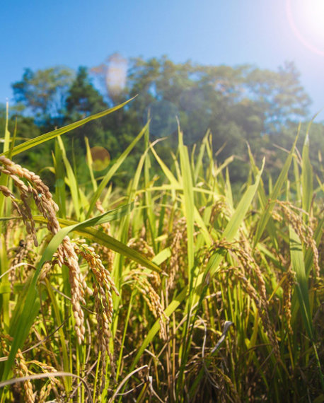 compromiso-con-la-reduccion-de-emisiones-de-carbono-1