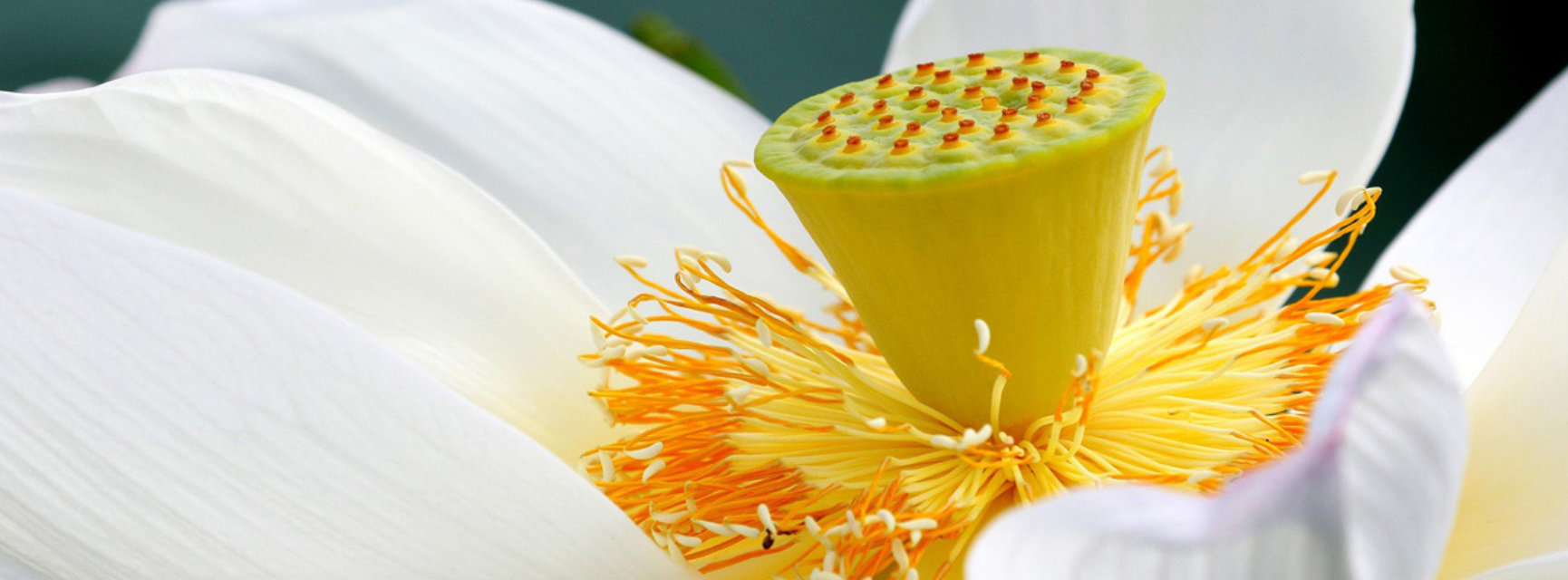 diseno-y-produccion-de-productos-sostenibles