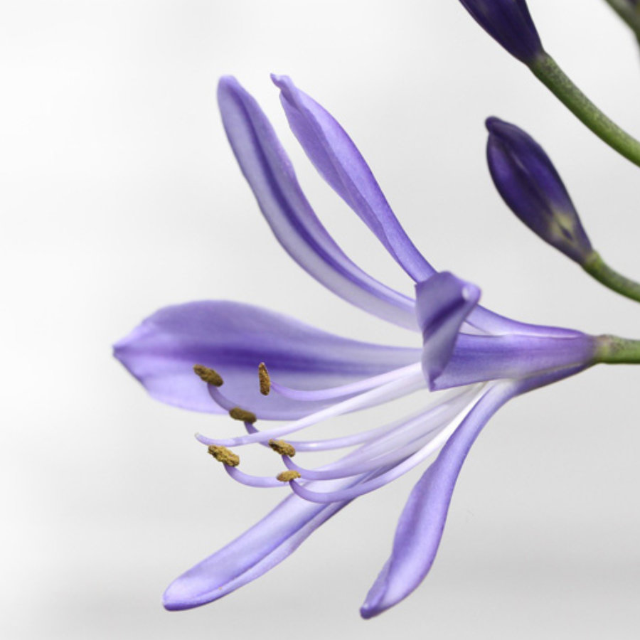 sensibilizacion-y-educacion-ambiental