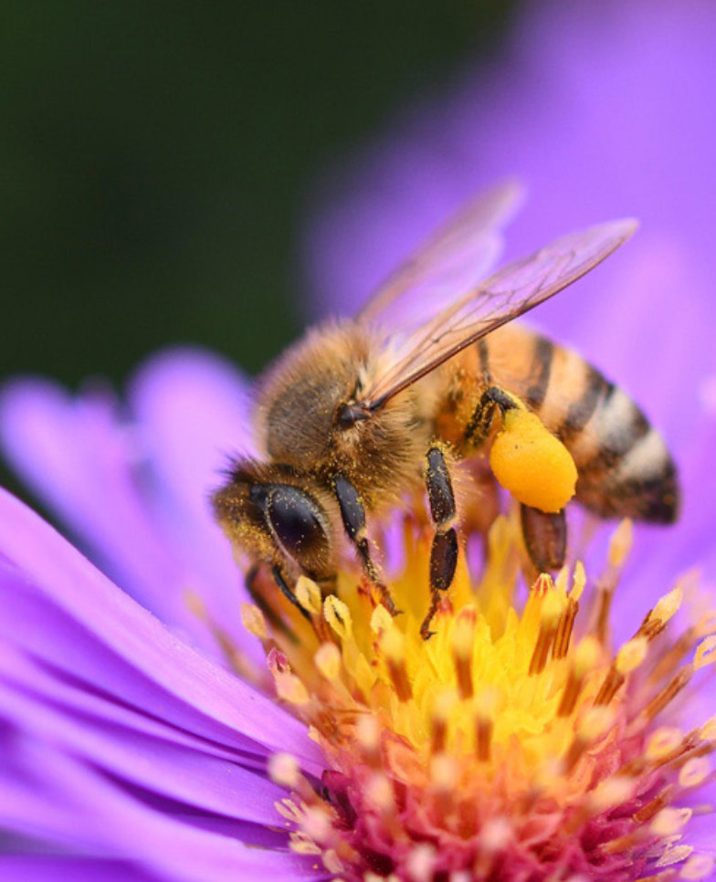 optimizacion-del-consumo-de-agua-en-la-produccion-2