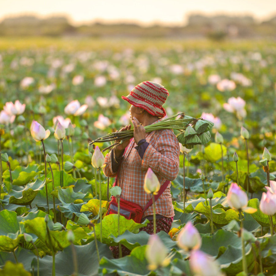 planta-de-tratamiento-de-aguas