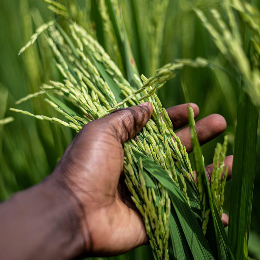 compromiso-con-la-comunidad-y-responsabilidad-social