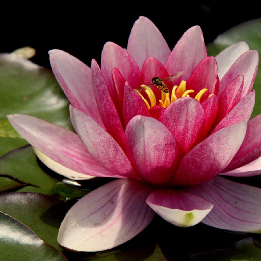 empoderamiento-y-desarrollo-continuo