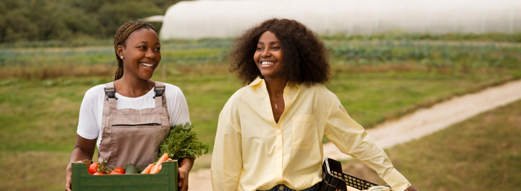 impacto-sostenible-y-responsabilidad-social