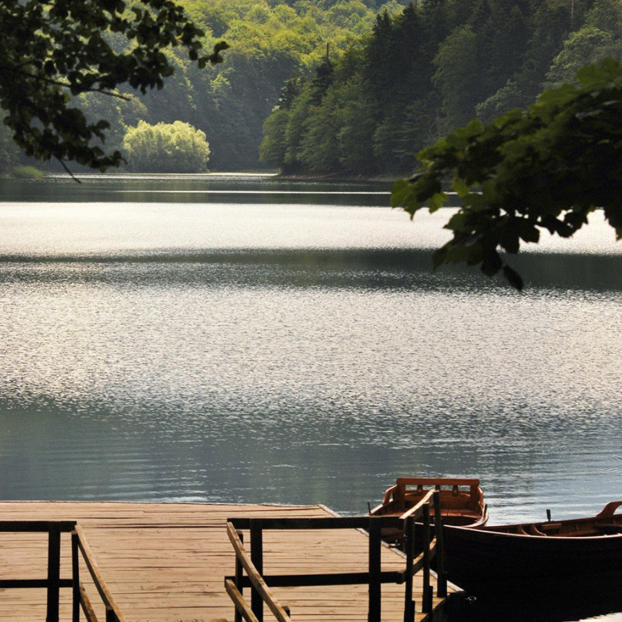 clasificacion-y-reciclaje-de-desechos