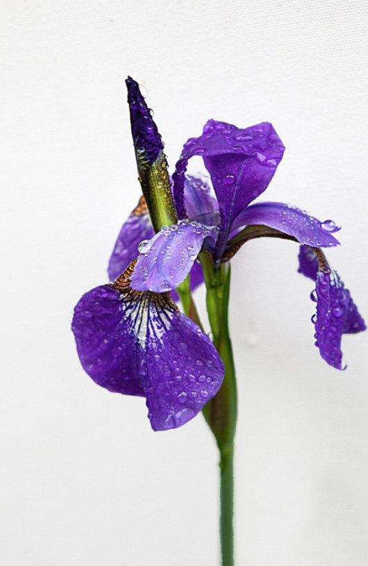 gestion-responsable-de-desechos-peligrosos-1