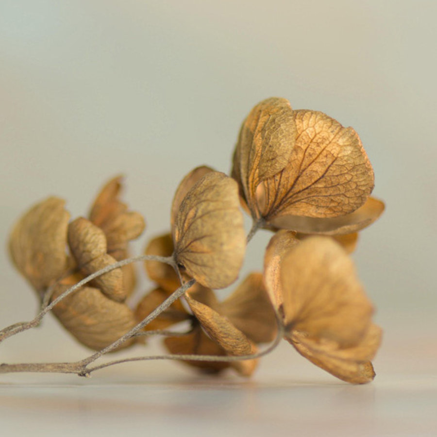 minimizacion-de-desechos-en-el-ciclo-de-vida-del-producto