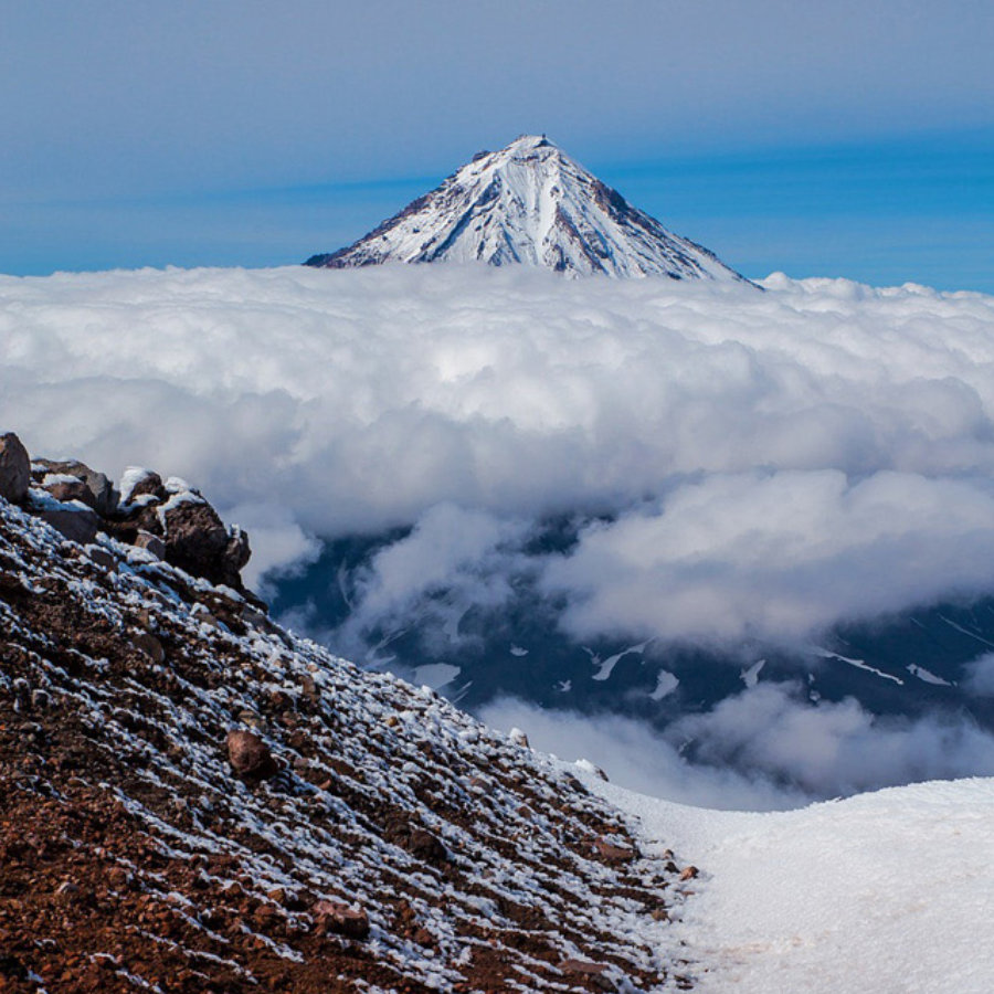 compromiso-con-el-medio-ambiente