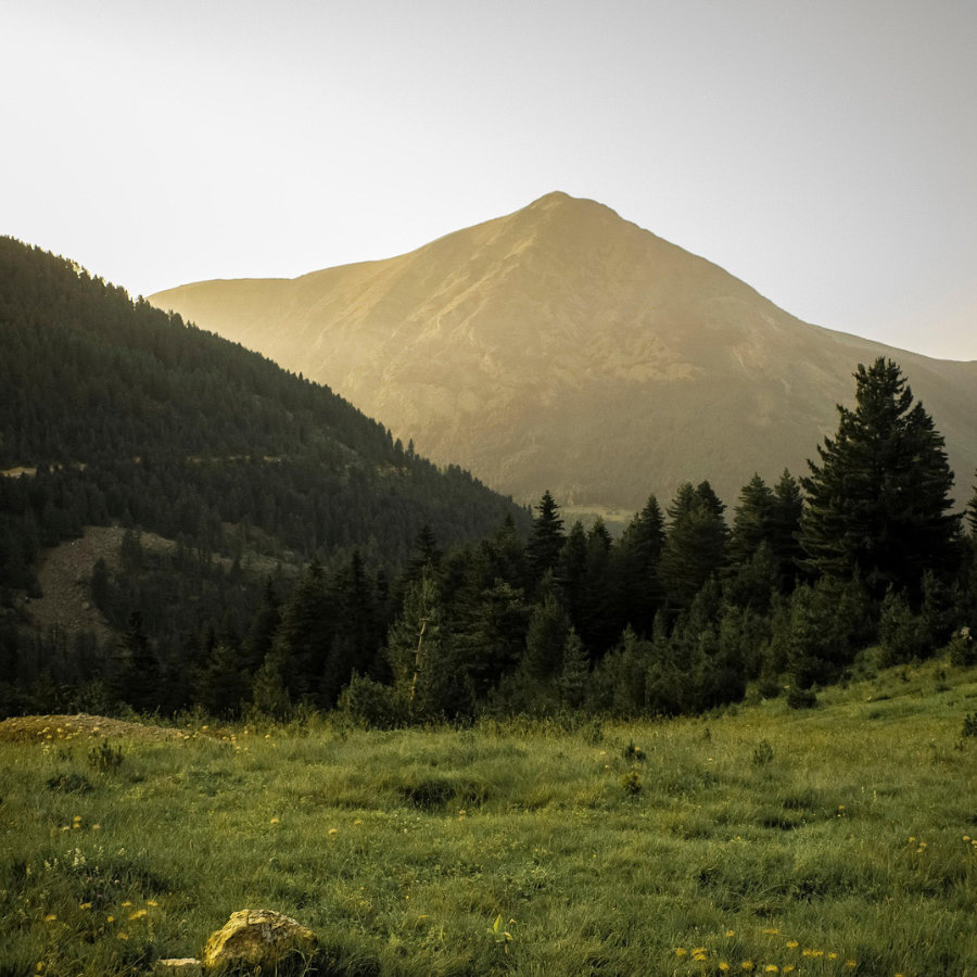 colaboracion-con-socios-que-comparten-nuestros-valores