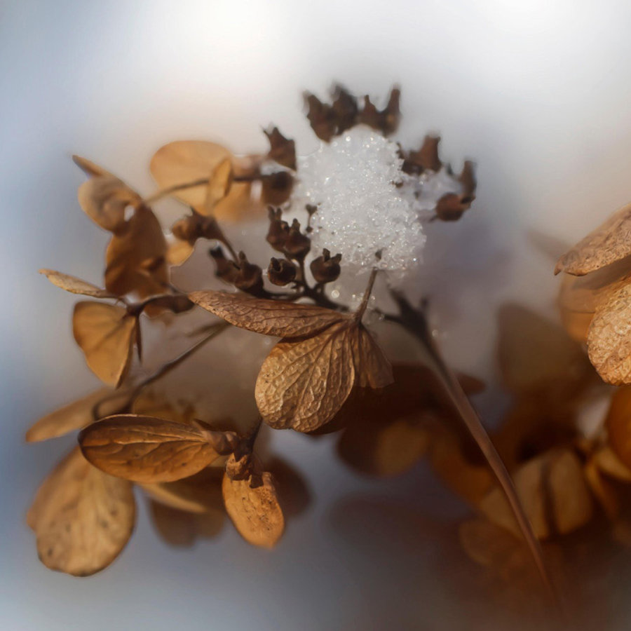 desarrollo-y-oportunidades-para-todos
