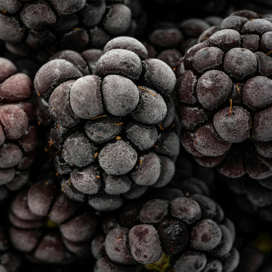 materias-primas-sostenibles-y-responsables