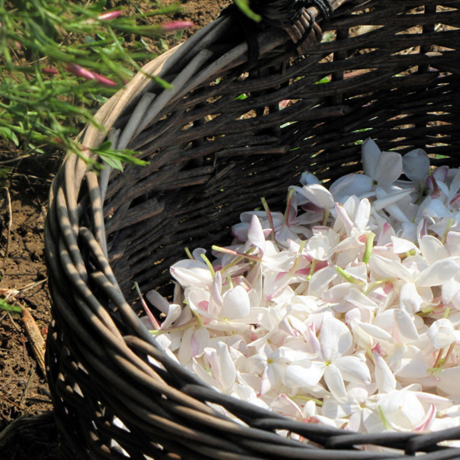 uso-de-plasticos-reciclados-y-reciclables
