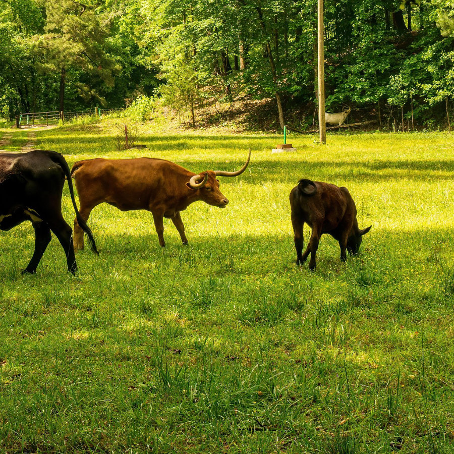 reduccion-de-la-huella-de-carbono