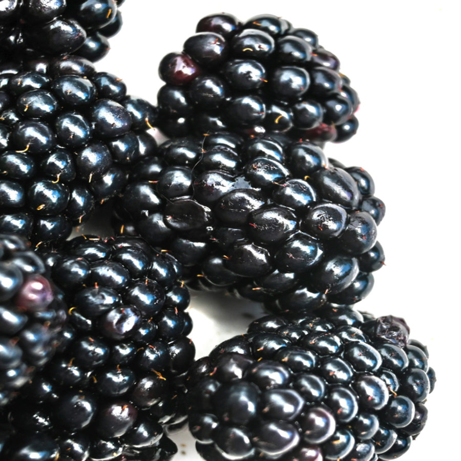 transparencia-y-certificaciones-ambientales