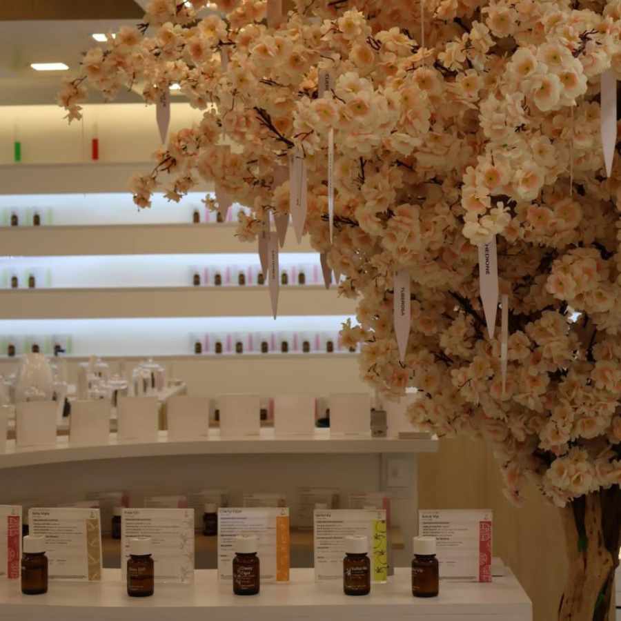 aromaterapia-y-bienestar