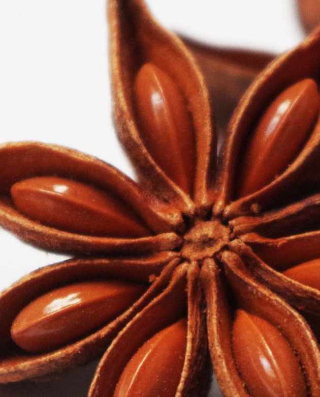 certificacion-de-aceites-esenciales-4