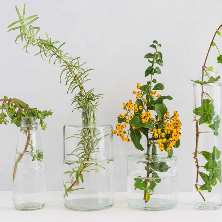 servicios-de-envasado-y-etiquetado