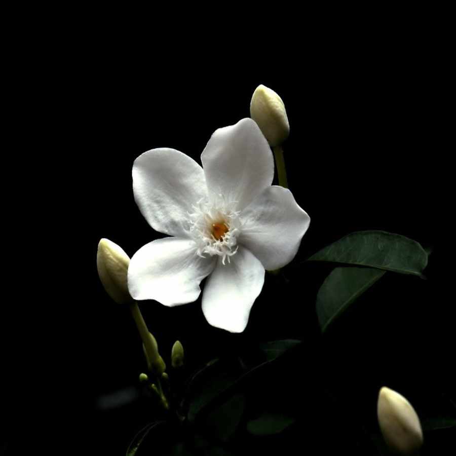 sostenibilidad-y-produccion-ecologica