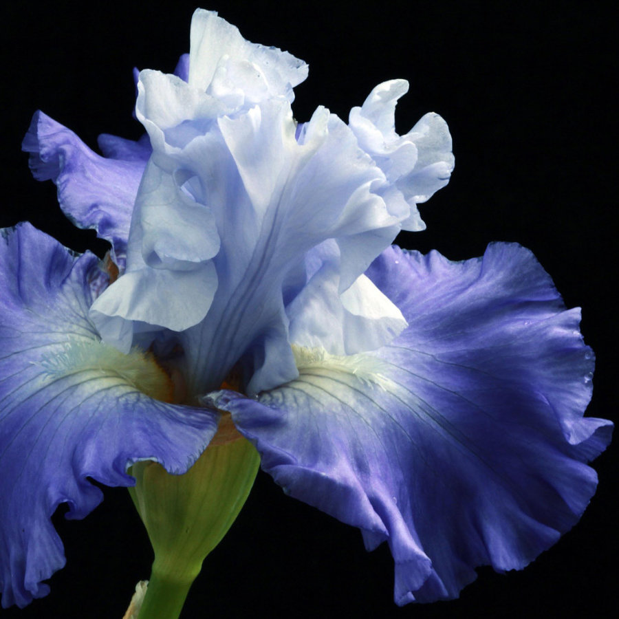 que-es-la-cromatografia-1