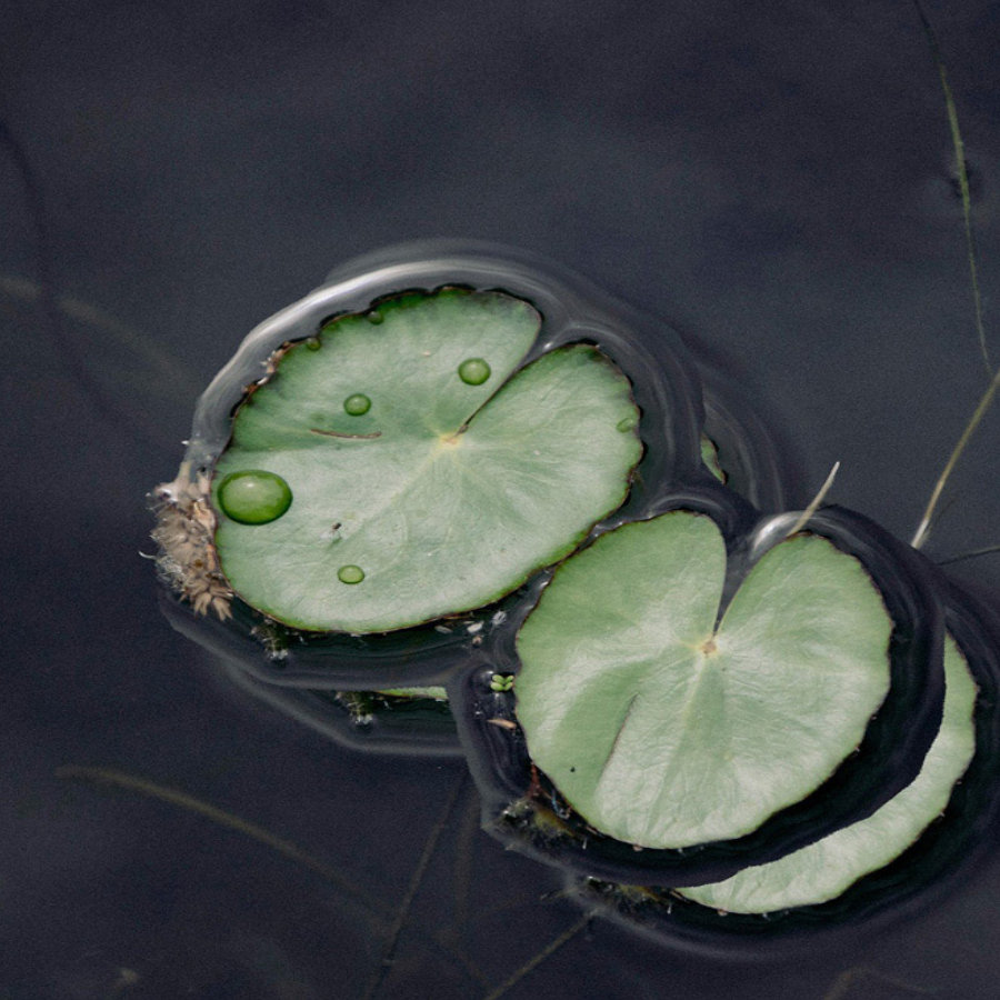 que-es-la-cromatografia-2